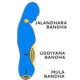 Bandha